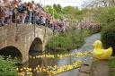 Malmesbury Duck Race on Bank Holiday Monday