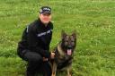Police dog Ace with PC Rich Hunt