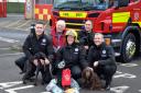 Fire engines in Gloucestershire to be equipped with oxygen masks for pets thanks to donation by Stonehouse Dog Training Club