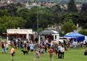 Previous edition of Stroud Show