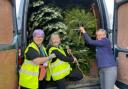 Volunteers collecting trees for Longfield