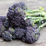A generic stock photo of purple sprouting brocolli. See PA Feature TOPICAL Wellbeing Inflammatory. Picture credit should read: Alamy/PA. WARNING: This picture must only be used to accompany PA Feature TOPICAL Wellbeing Inflammatory.