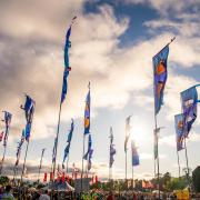 WOMAD festival is being investigated after a handful of people reported sickness afterwards