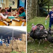 Pupils have spent hours at the farm near Slimbridge learning about food production