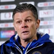 Steve Cotterill is the new Forest Green manager