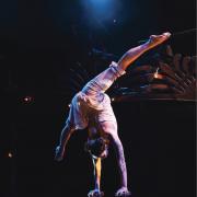 Performance of Aylmers Circus
