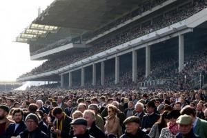 More than 250,000 people attended Cheltenham Festival in March