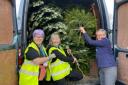 Volunteers collecting trees for Longfield
