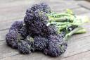 A generic stock photo of purple sprouting brocolli. See PA Feature TOPICAL Wellbeing Inflammatory. Picture credit should read: Alamy/PA. WARNING: This picture must only be used to accompany PA Feature TOPICAL Wellbeing Inflammatory.