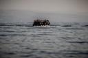 Asylum seekers at sea. Photo by Sandor Csudai
