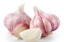 Garlic closeup isolated on white background. With clipping path..