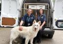 Stroud District Council Dog Wardens