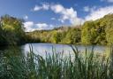 (Library image of Woodchester Lake)