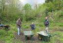 Improving the landscape at Frome Banks