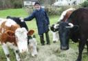 Farmer Paul Griffiths is the sole grazier of Edge Common