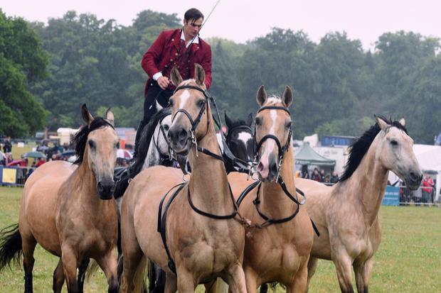 JULY  02   2022

The Cotwold Show, founded 1989

Copyright Photographer Simon Pizzey 


Ben Atkinson's Horses display in the main arena