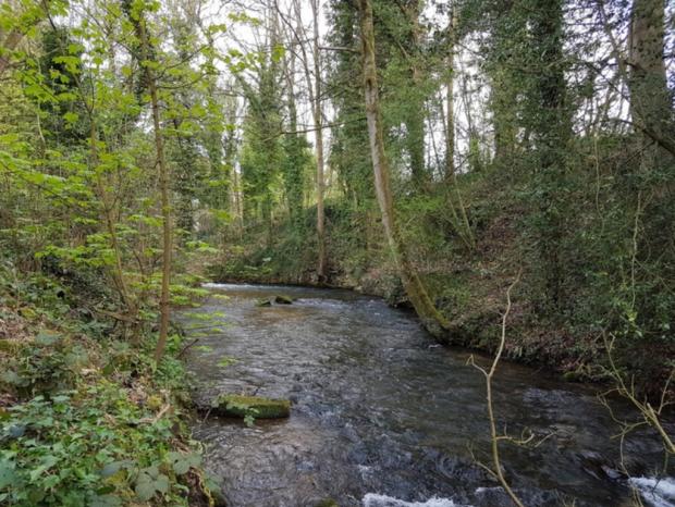 Stroud News and Journal: The wildlife haven near the canal is home to bats and otters