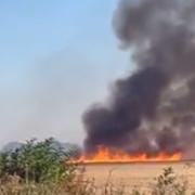 Video shows last night’s huge crop fire as location and full details revealed 
