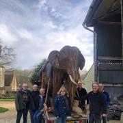 Elephant with cast and crew. Photo by Terry Clifford