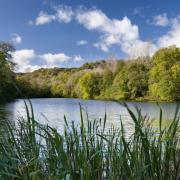 (Library image of Woodchester Lake)