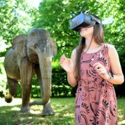 Virtual Reality safari at Sudeley