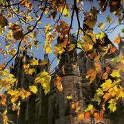 Autumn leaves by Alun Thomas