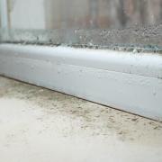 Toolstation has developed a comprehensive guide on how homeowners can keep their homes safe from mould.