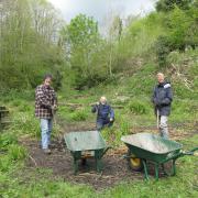 Improving the landscape at Frome Banks