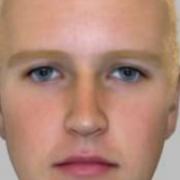 Police release e-fit after girl attacked in Stroud