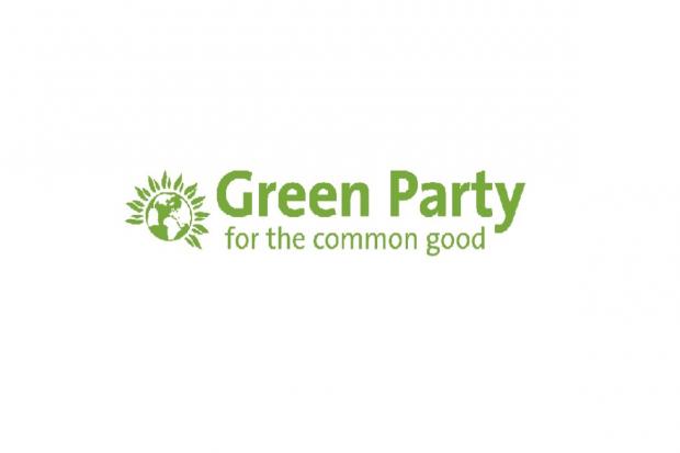 District council elections - Green Party manifesto