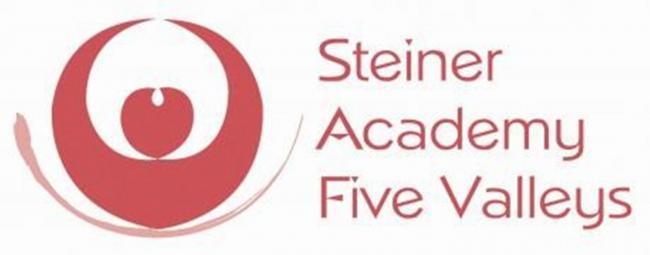 Steiner Academy  (7925299)
