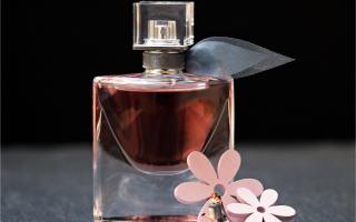 The Perfume Shop has lots of deals for this Mother's Day - see 10 of the best here (Canva)