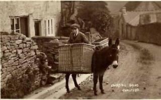 Chalford donkey delivering bread up Coppice Hill 1930s