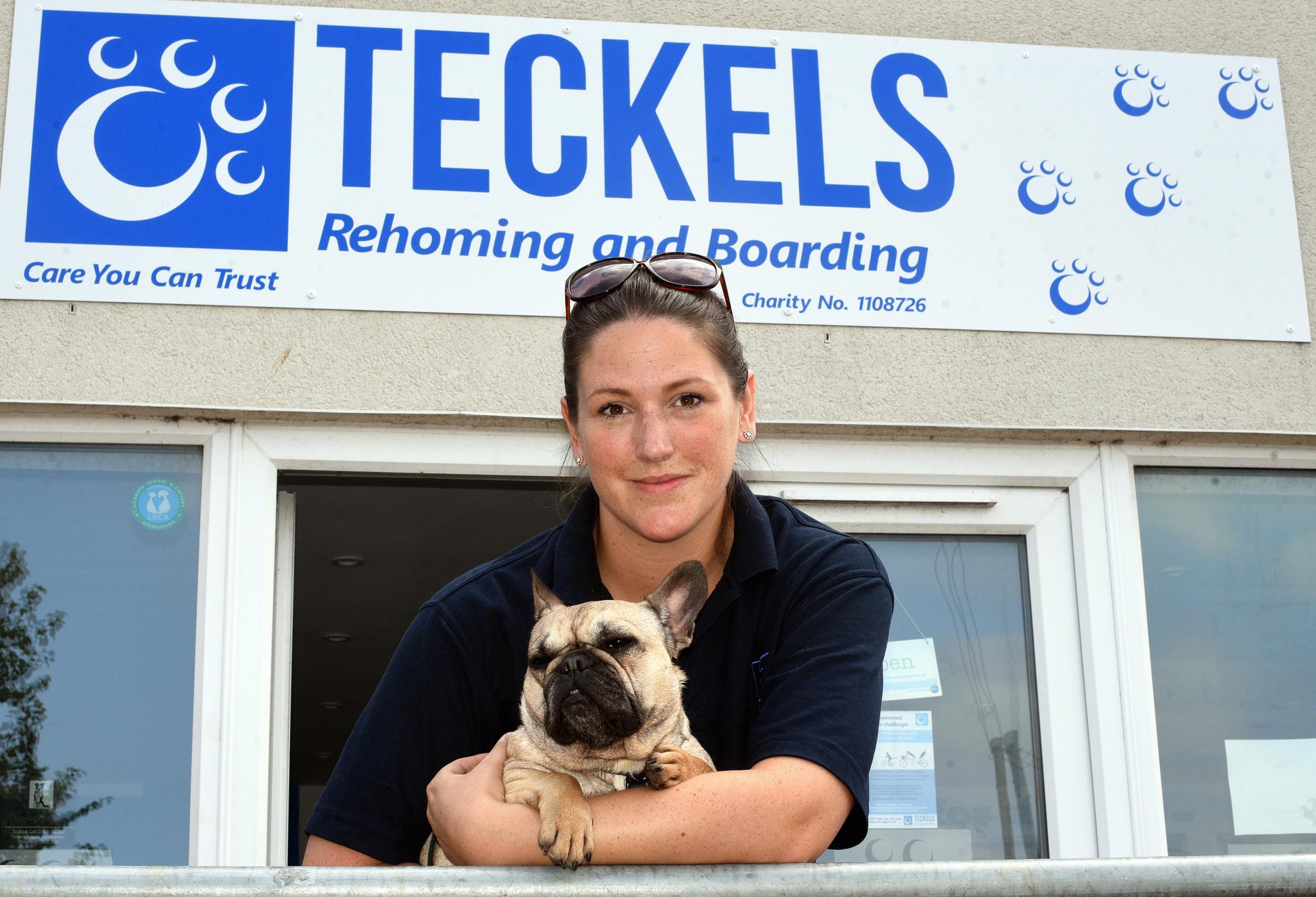 teckels dog rescue